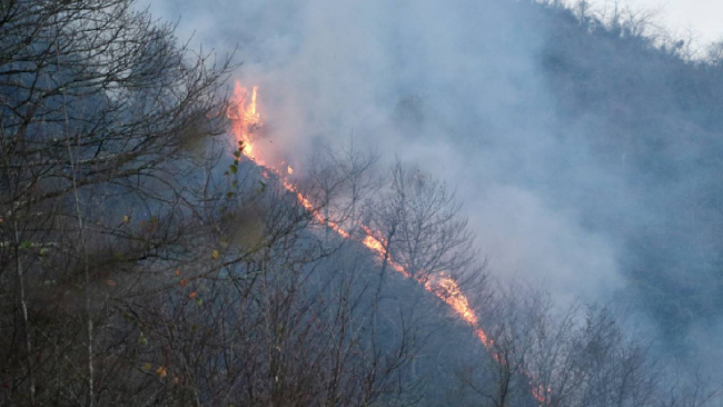 Trabzon'da örtü yangını: Çevredeki evler tahliye edildi